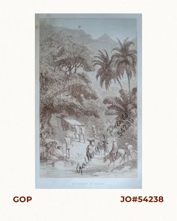 Travelling by Palkee