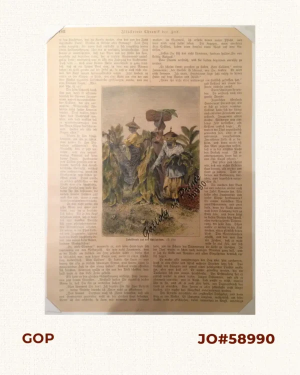 Tabaksernte auf den Philippinen [Tobacco Harvest in the Philippine Islands] [per text near Gran Rio de Cagayan]