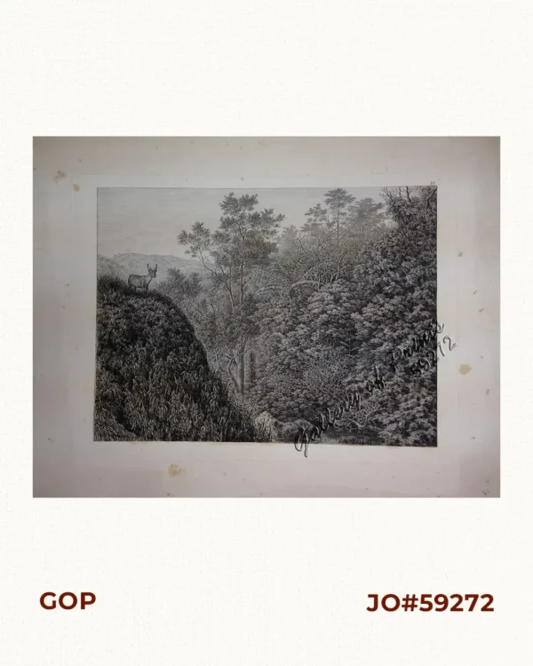 [Luzon: Obere Savannengegend] [Upper Savanna Landscape]