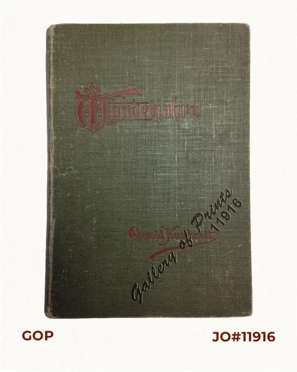 Wanderjahre eines jungen Hamburger Kaufmannes - Eine Reise um die Erde in 1000 Tagen [Ramblings of a Young Hamburg Merchant - A Voyage Around the World in 1000 Days]