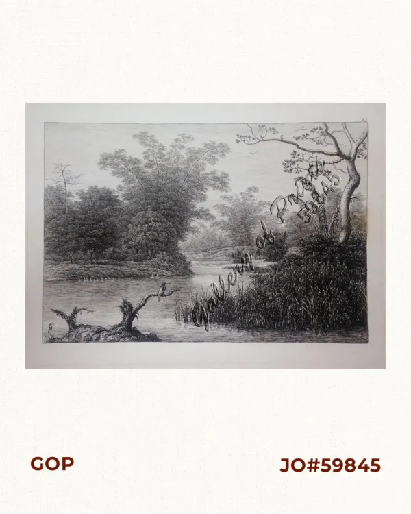 [Philippineninsel Luzon. 'Vegetation in der Ebene des Flusses Passig.] [sic] '[Vegetation in the Pasig River Basin]
