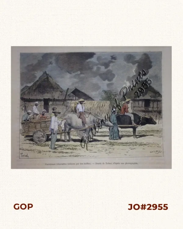 Carretones (charrettes trainees par des buffles) [Buffalo Carts]