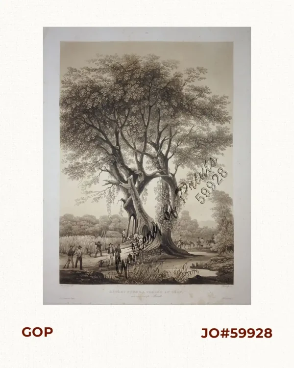 Depart pour la chasse au cerf, aux environs de Manille. [Departure for a deer hunt on the outskirts of Manila]