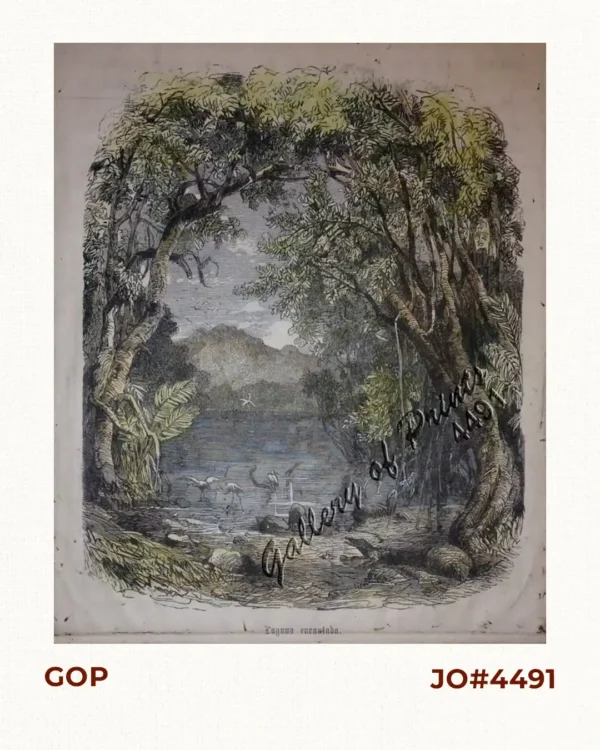 Laguna Encantada (Alligator Lake, Laguna)