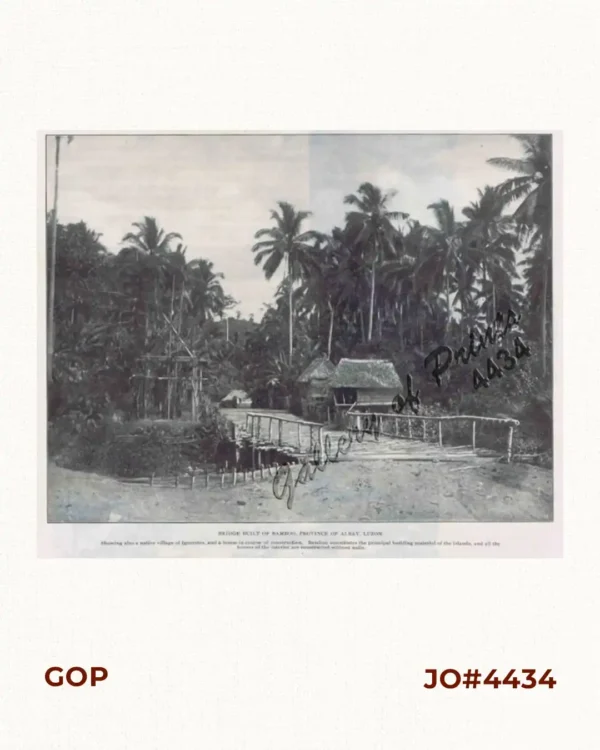 Bridge built of bamboo, province of Albay, Luzon.