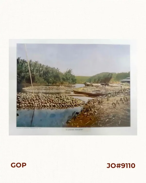 A Laguna Industry
