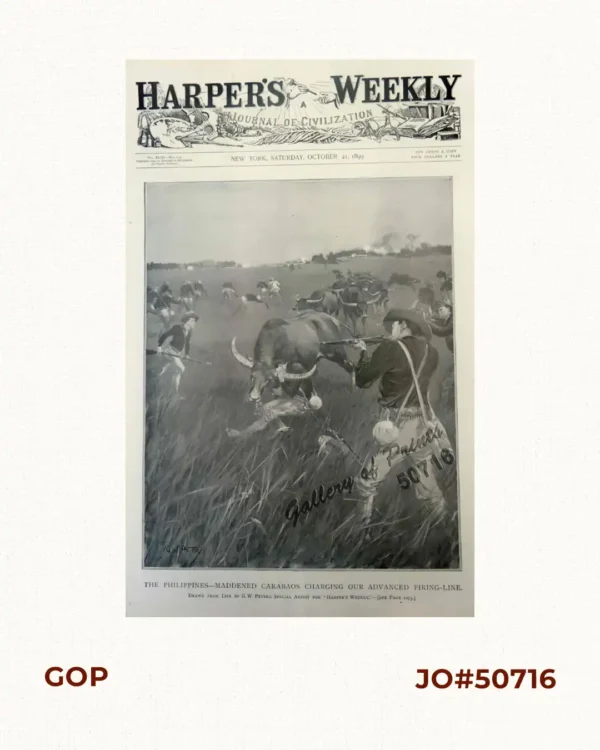 The Philippines-Maddened Carabaos Charging our Advanced Firing-Line.