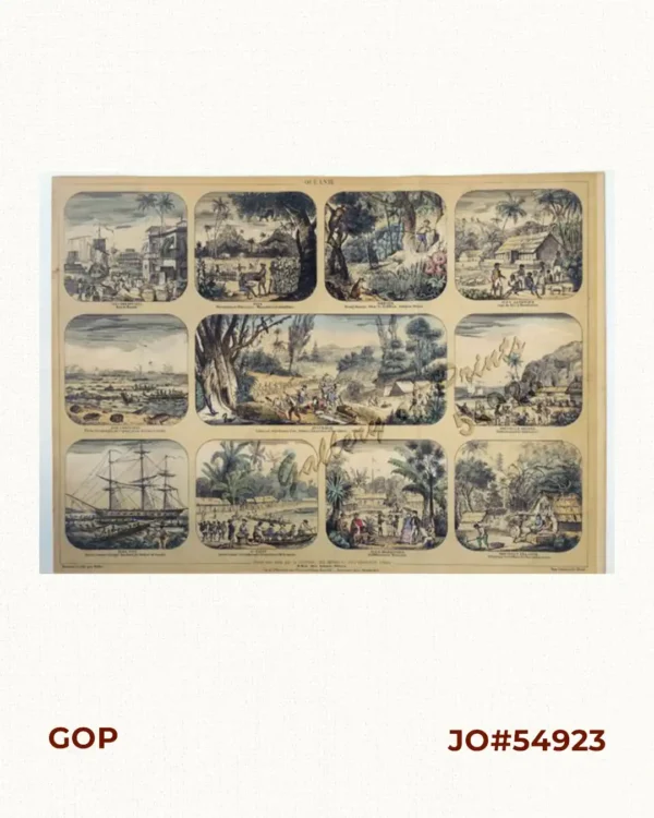 Oceanie 1. Iles Philippines  2. Java  3. Borneo 4. Iles Sandwich  5. Iles Carolines 6. Australie 7. Nouvelle Guinee 8. Iles Viti 9. O'Taiti - Arbre á pain 10. Iles Marquises 11. Nouvelle Zelande