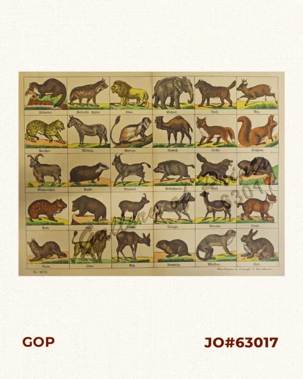 Fischotter, Gestreifte Hyäne, Löwe, Elefant, Wolf,  Reh, Panther, Wildesel… [Otter, Striped Hyena, Lion, Elephant, Wolf, Deer, Panther, Wild Donkey…]