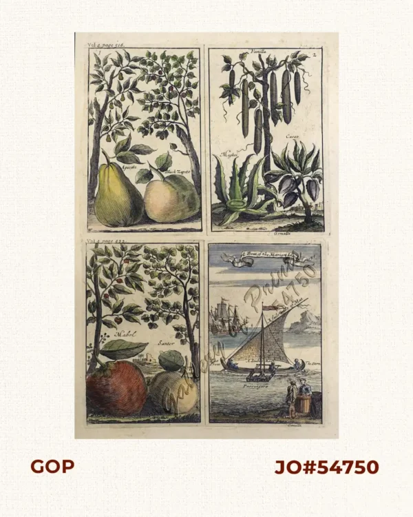 1) Agucate - Black Zapote 2) Maghei - Vanilla - Cacao 3) Mabol - Santor  4) A Boat of the Marian Islands