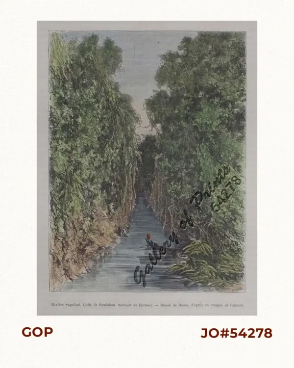 Rivière Sagaliud, Golfe de Sandakan