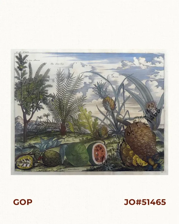 1. The tree Anoene [Custard Apple Tree] 2. The Date Tree [The Palm Tree] 3. Ananas [Pineapple] 4. Fruit of Ananas [Fruit of Pineapple] 5. WaterLemons [Watermelons]