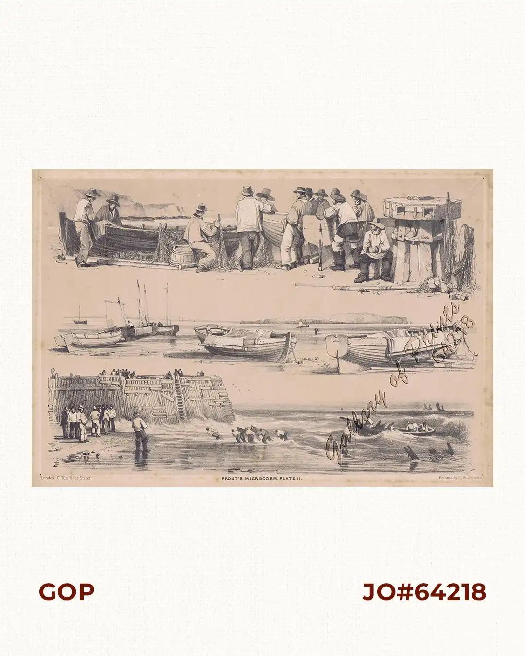 Prout's Microcosm Plate 11