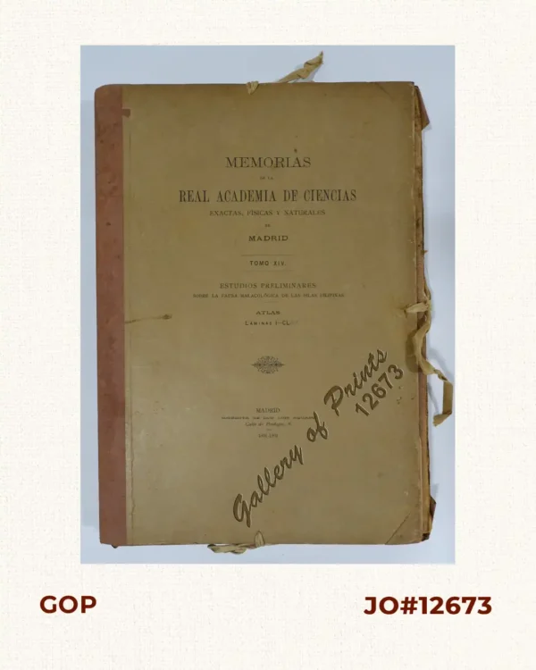 Memorias de la Real Academia de Ciencias Exactas, Fisicas y Naturales de Madrid  Tomo XIV. - Atlas  Estudios Preliminares  Sobre La Fauna Malacológica de las Islas Filipinas.