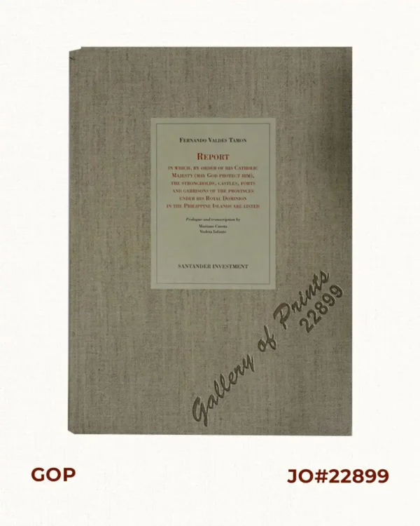 Fernando Valdes Tamon.  Report in which, by order of his Catholic Majesty (May God protect him), the strongholds, castles, forts and garrisons of the provinces under his Royal Dominion in the Philippine Islands are listed