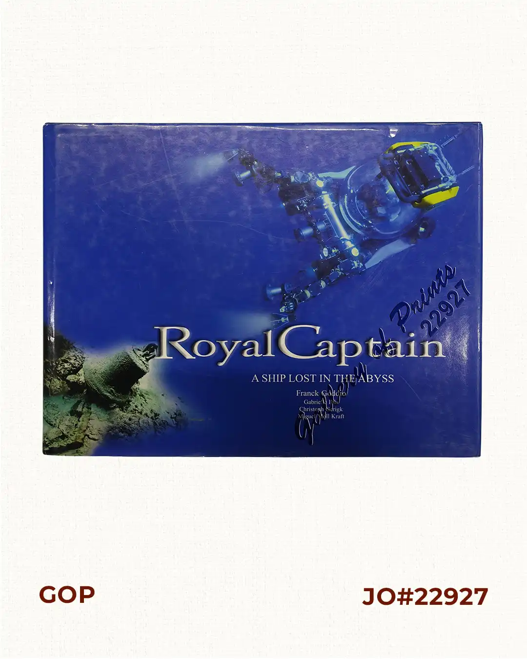 Royal Captain A Ship Lost in the Abyss