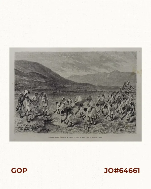 Plantation du riz en cadence par les Tagalocs [Tagalogs Planting Rice in Musical Tact]