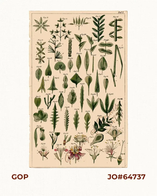 [untitled] Fig. 52 to Fig. 104