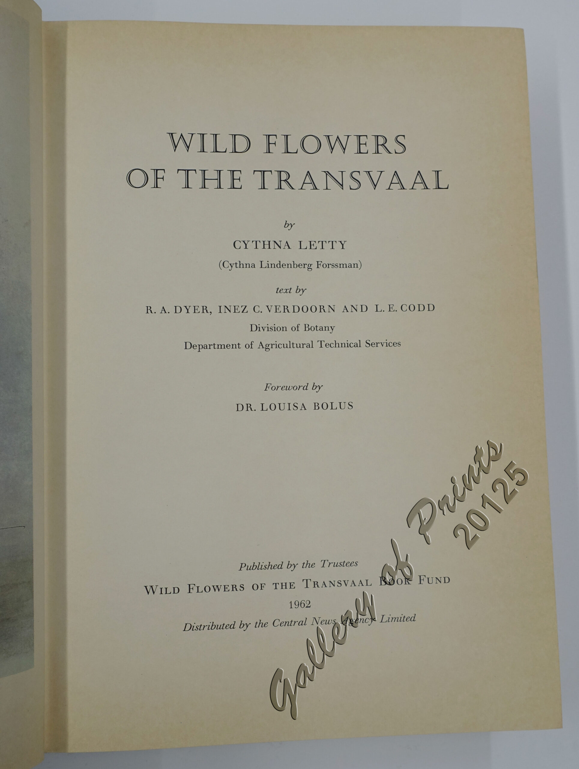 Wild Flowers of the Transvaal - Image 3