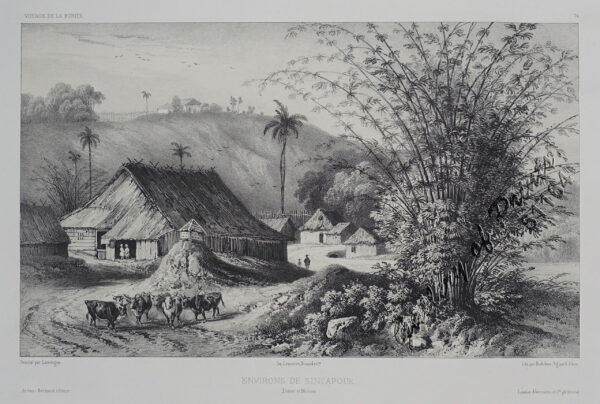 Environs de Sincapour