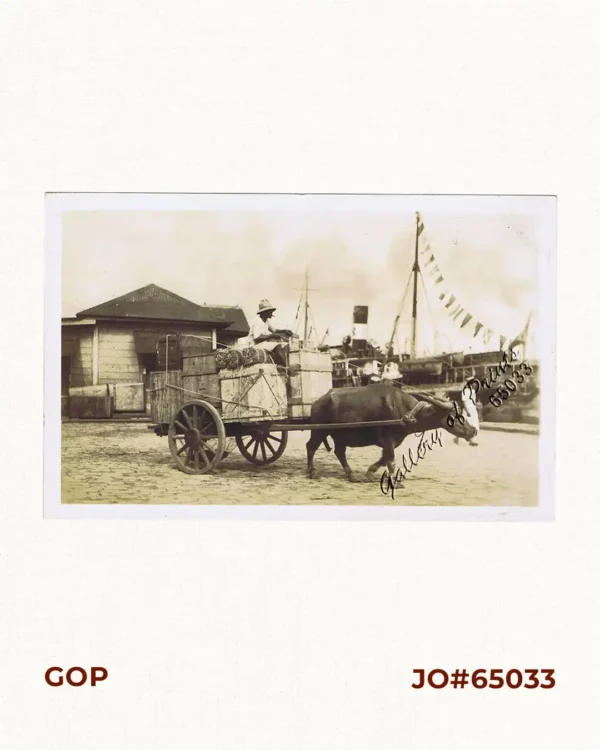 [Carabao and Cart, Philippines]