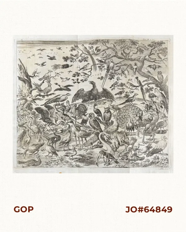 [Birds including Birds of Paradise, Heron, Peacock, Ostrich, Owl, Hoopoe, Parrot, Turkey, Eagle, Toucan, &c.] untitled