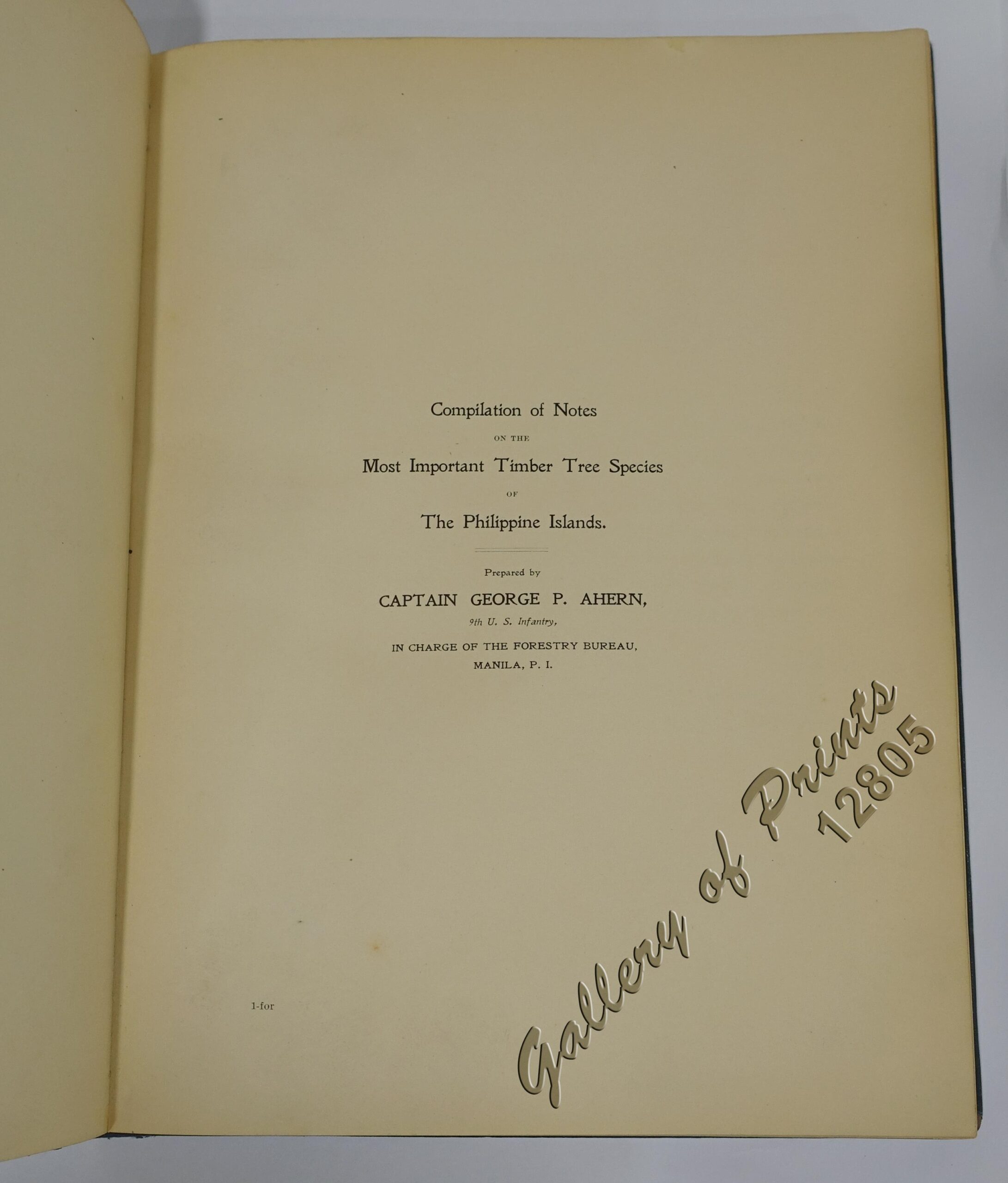 Compilation of Notes on the Most Important Timber Tree Species of the Philippine Islands - Image 3