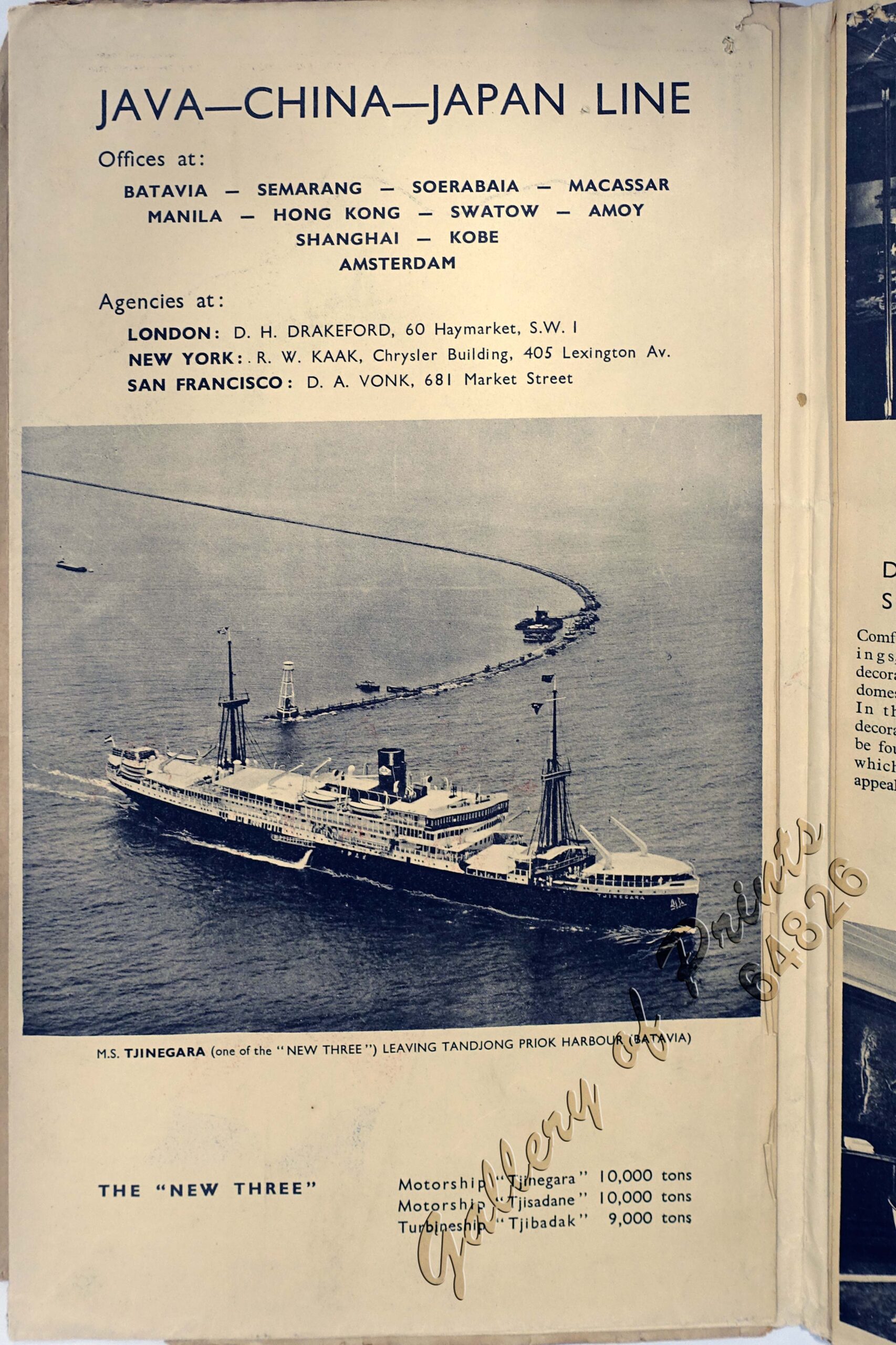 Java-China Japan Lyn - Image 4