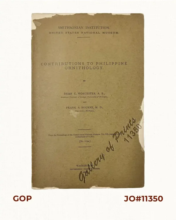 Contributions to Philippine Ornithology