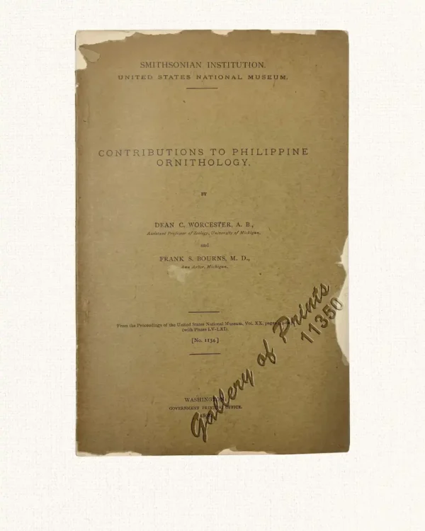 Contributions to Philippine Ornithology