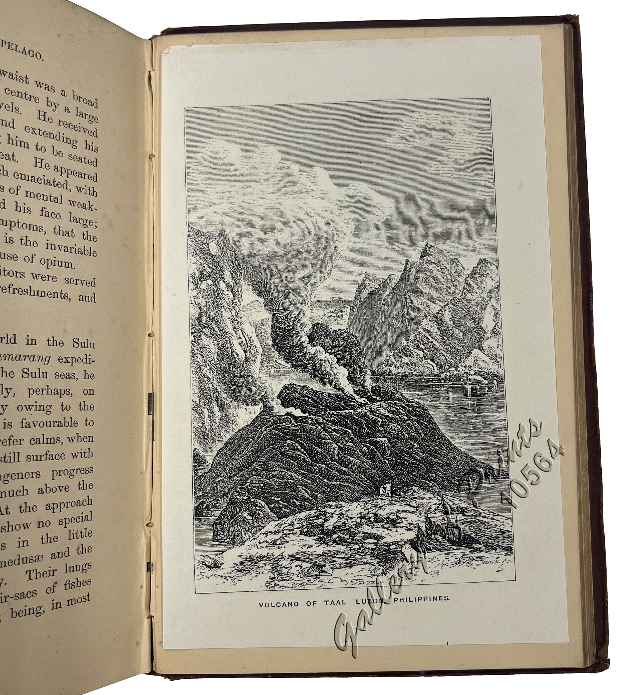 The Eastern Archipelago: Described and Illustrated - Image 4