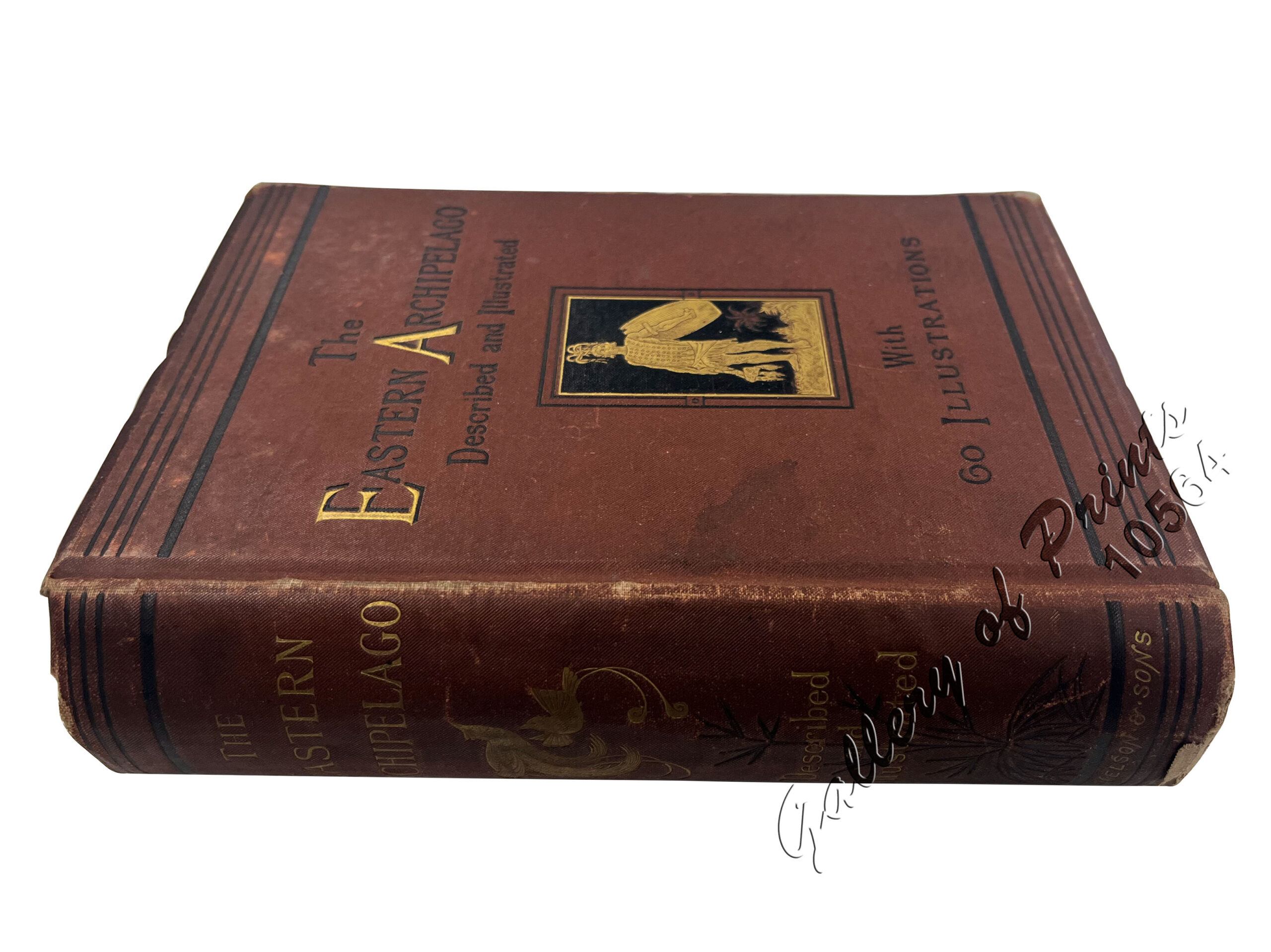 The Eastern Archipelago: Described and Illustrated - Image 2