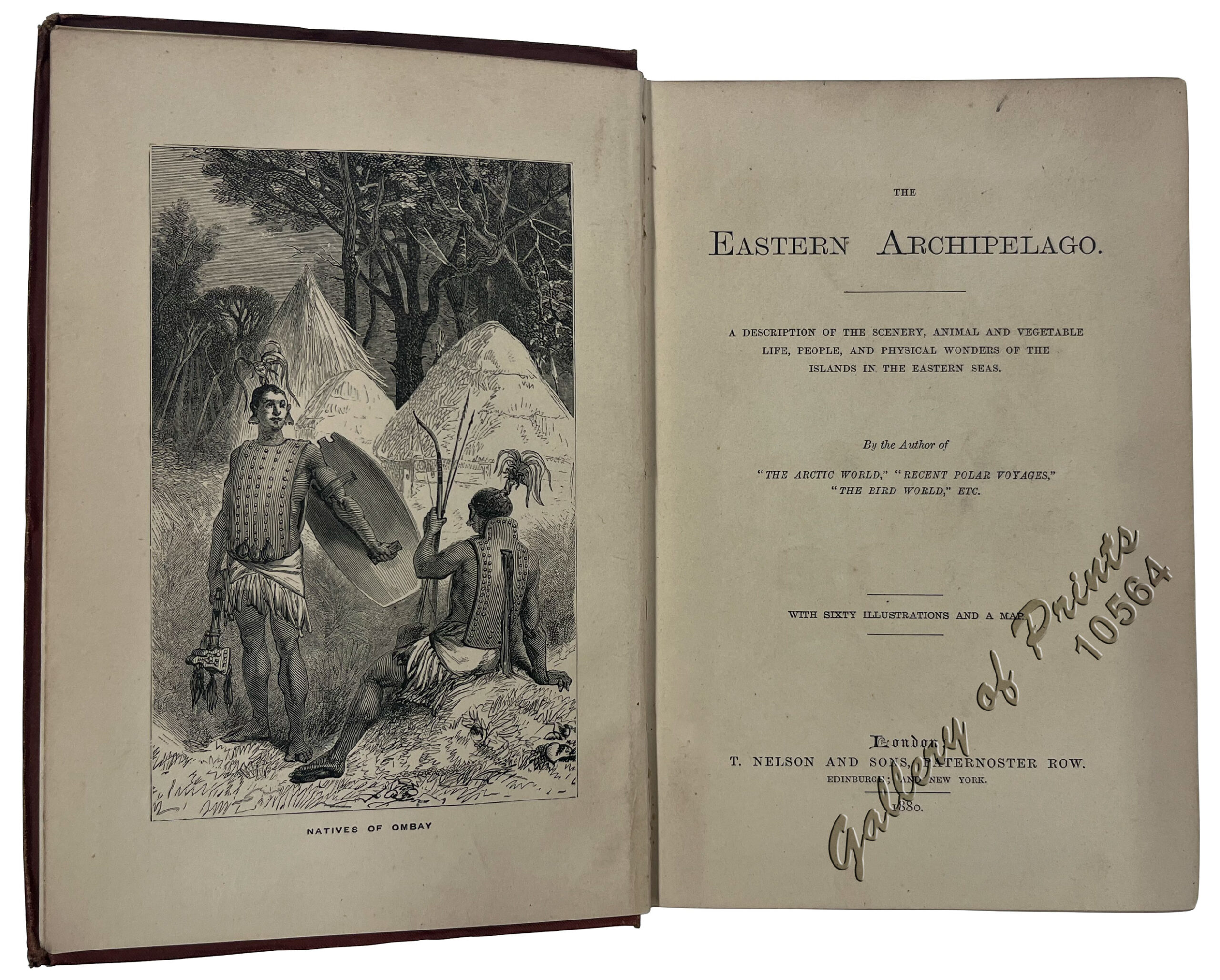 The Eastern Archipelago: Described and Illustrated - Image 3