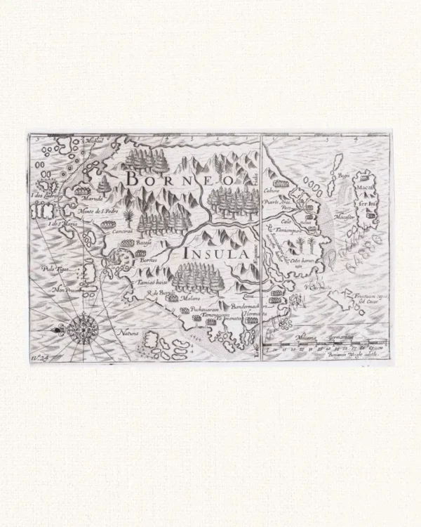 Borneo Insula