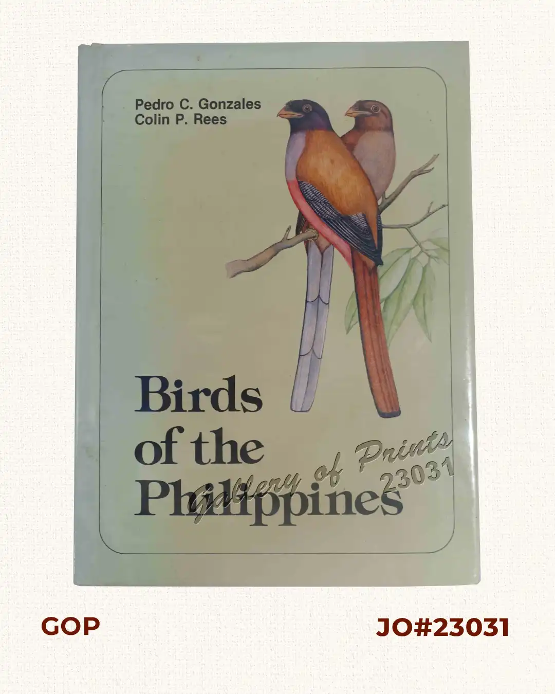 Birds of the Philippines