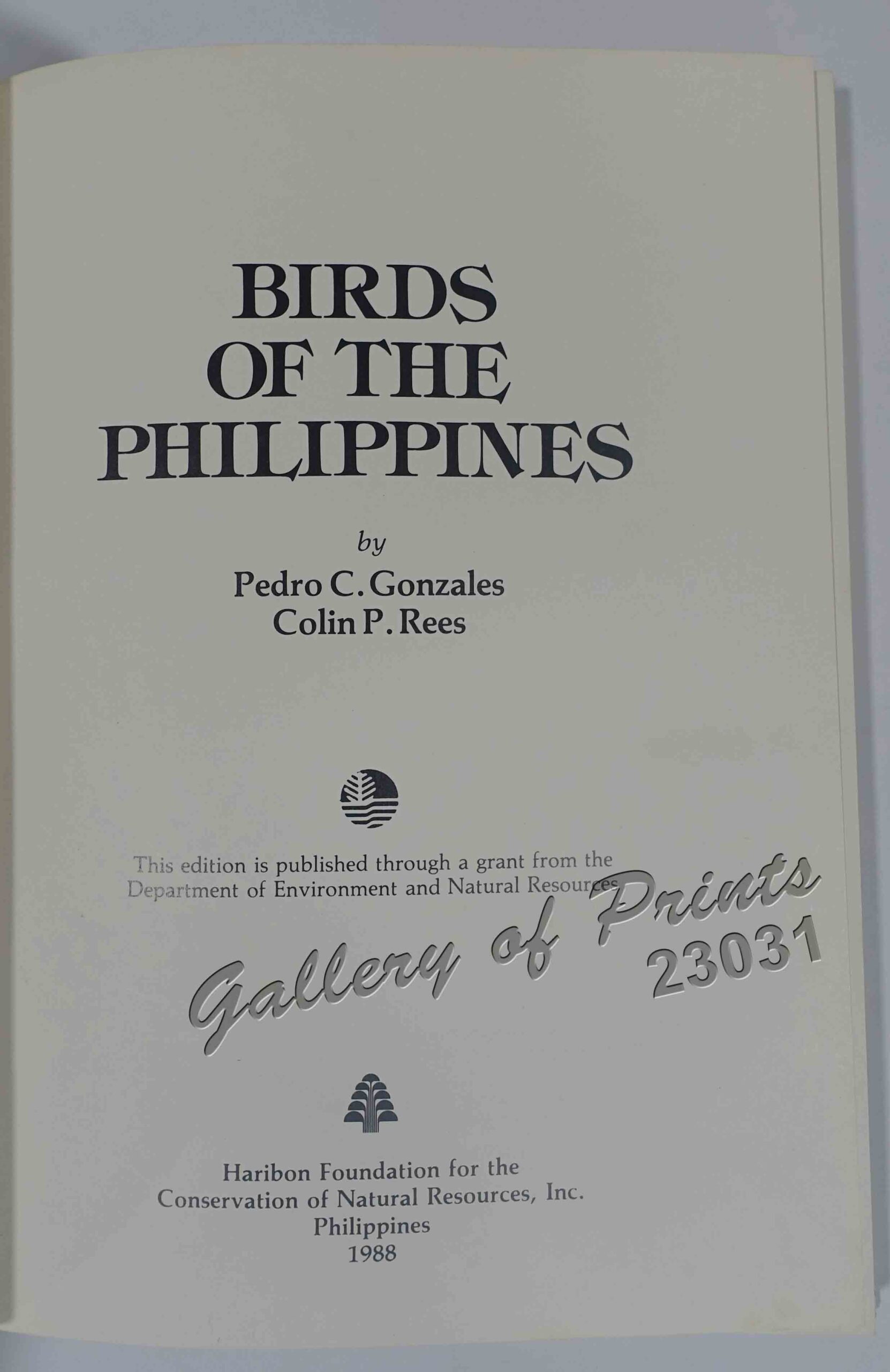 Birds of the Philippines - Image 4
