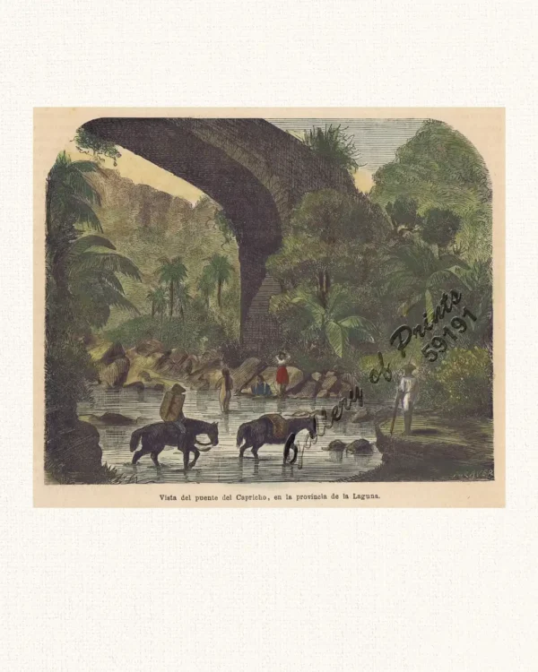 Vista del Puente del Capricho, en la Provincia, de la Laguna.
