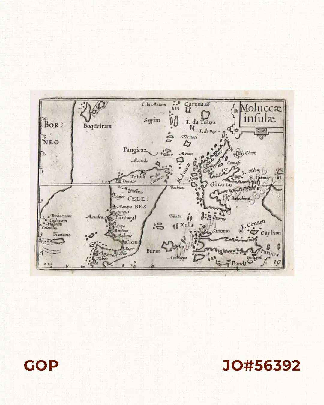 Moluccae Insulae