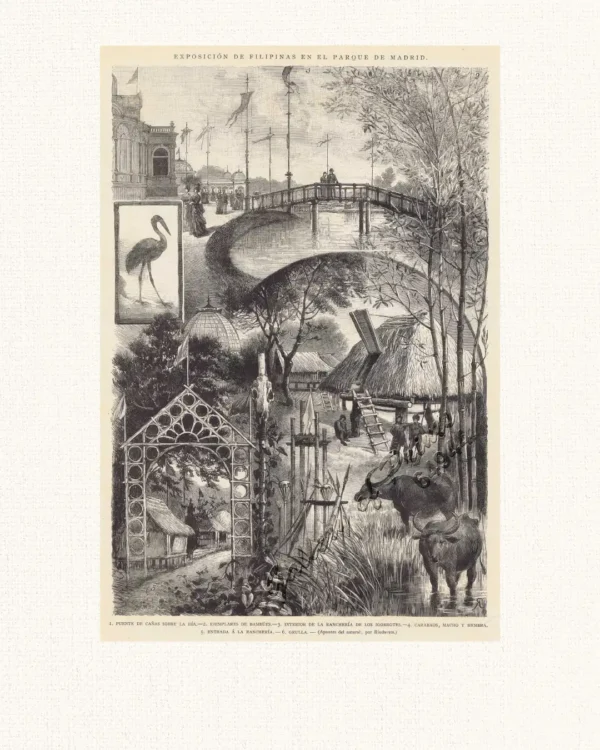 Exposicion de Filipinas en el Parque de Madrid.  1. Puente de Cañas sobre la ria.  2. Ejemplares de Bambúes.  3. Interior de la rancheria de los Igorrotes.  4. Carabaos, macho y hembra.  5. Entrada a la Rancheria.  6. Grulla.